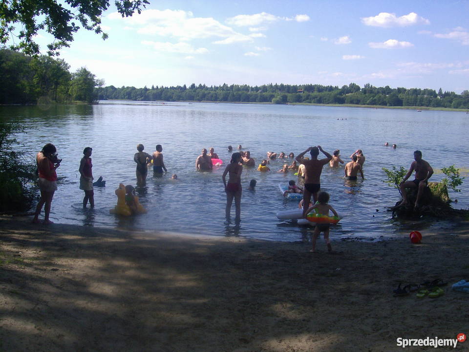 Sprzedam działkę ROD Otowo Lusowo Sierosław 12 Otowo sprzedam