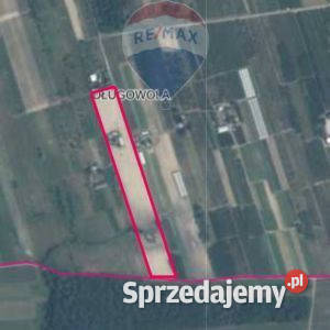 Gospodarstwo Rolne Długowola siatka mazowieckie sprzedam