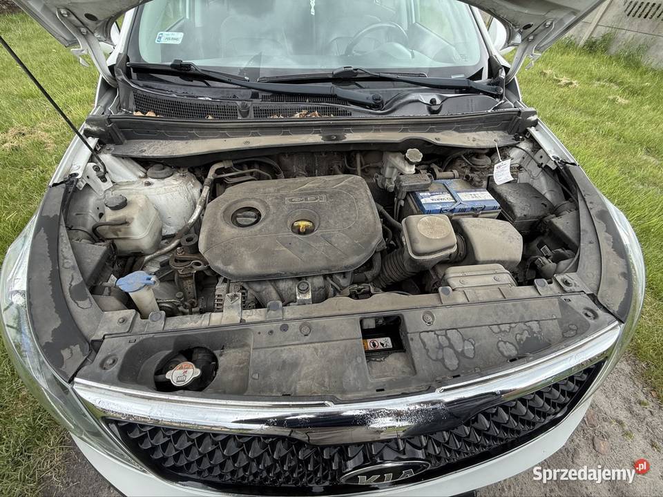 Kia Sportage Bełchatów