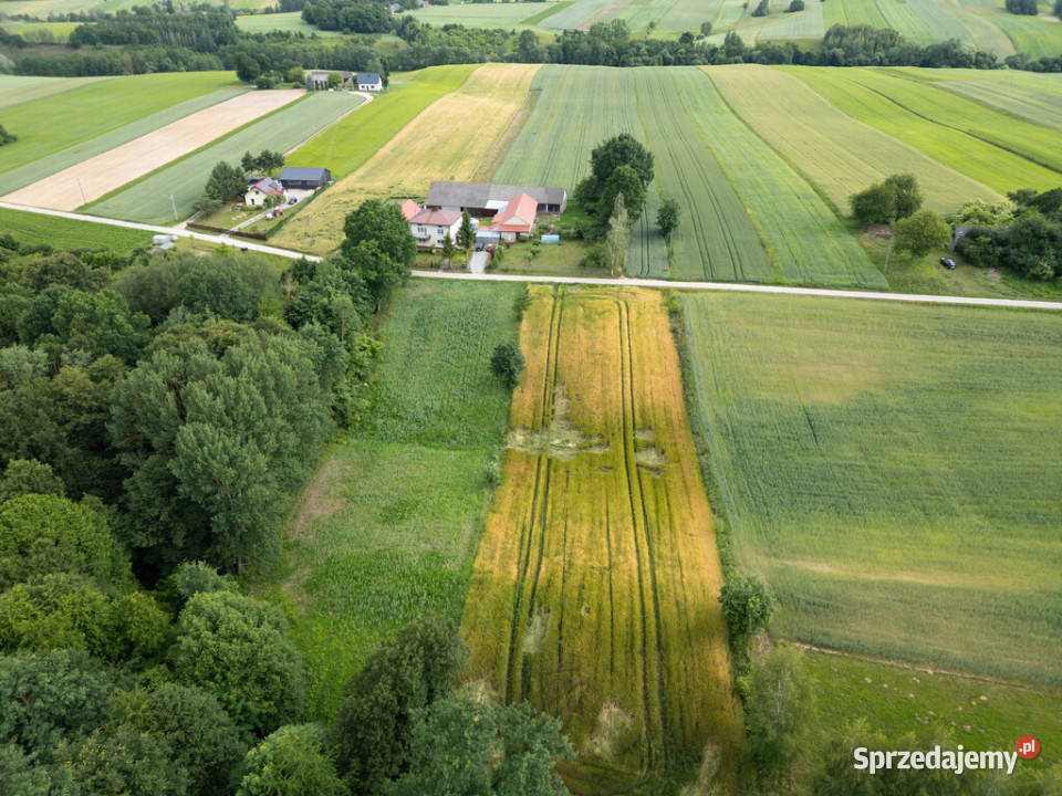 Ustawna działka z WZ 8300m2 Czajęcice