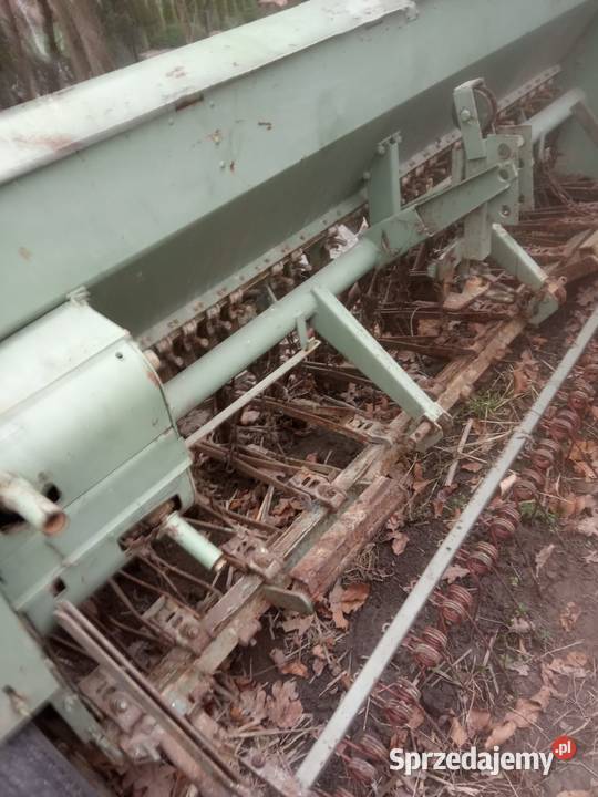 Siewnik Poznaniak Olszanka