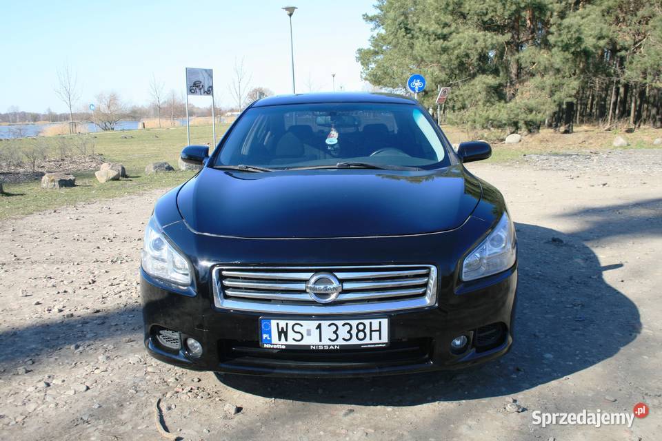 Nissan Maxima A35 35 V6 Maxima Siedlce