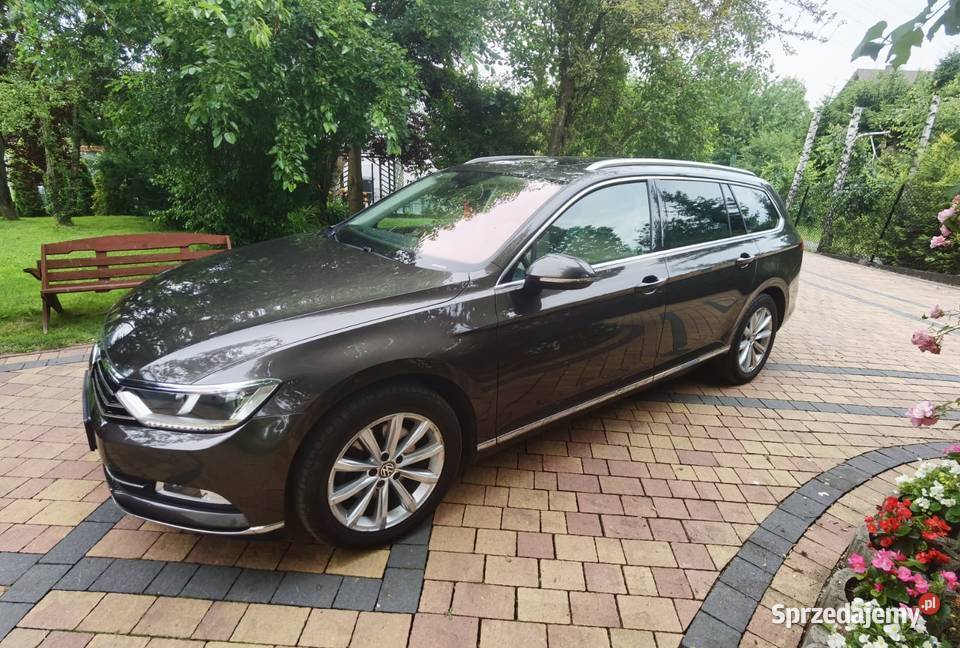 Passat b8 Volkswagen