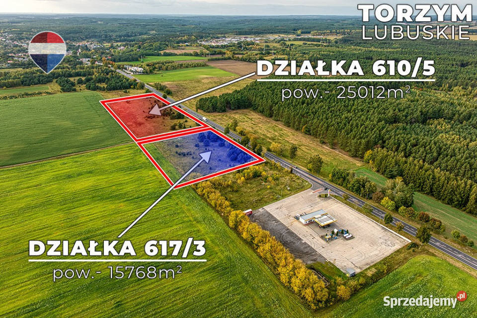 Na sprzedaż 2 działki z potencjałem Torzym sprzedam