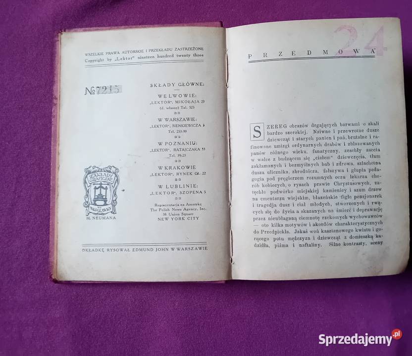 Gabriela Zapolska Przedpiekle Lektor 1923 r Wyd Koźminek sprzedam