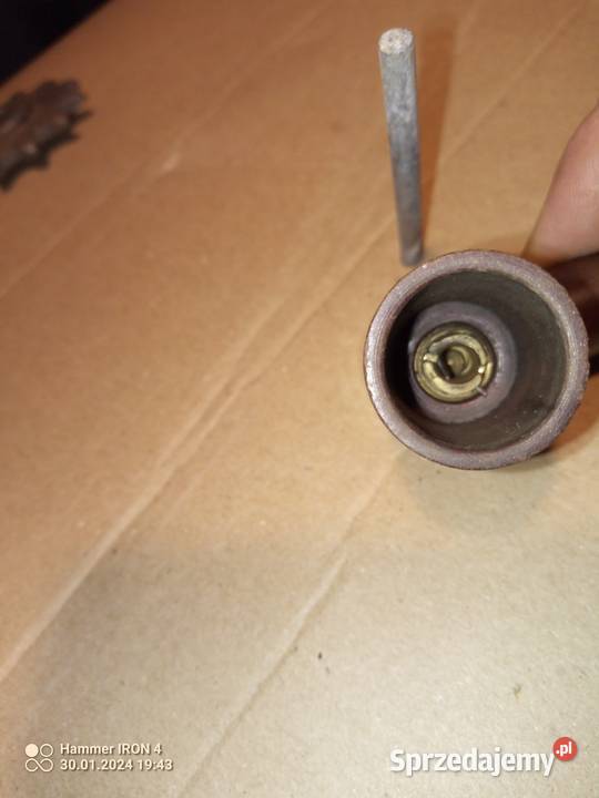 komar fajka żak ryś Międzychód