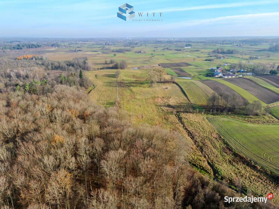 sprzedaży gruntu Jędrychówko 53400m2 szambo