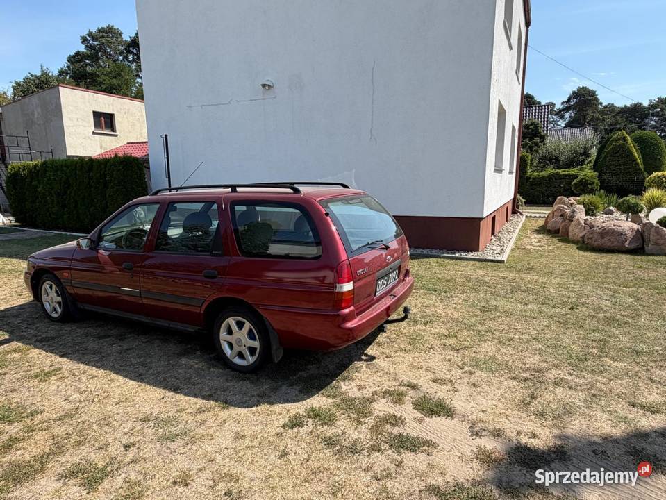 Ford Escort 18 TD 1999 nowości w jednych rękach kupiony w polskim salonie Rożniątów