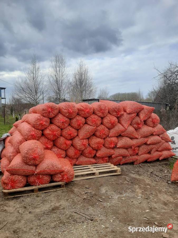 Zrębki liściaste workowane 80l15 Pozostałe Kamień Pomorski sprzedam