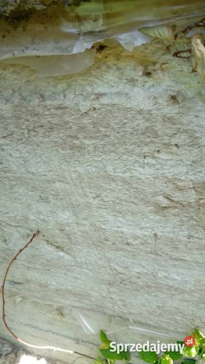 Wełna mineralna Nowa Dęba