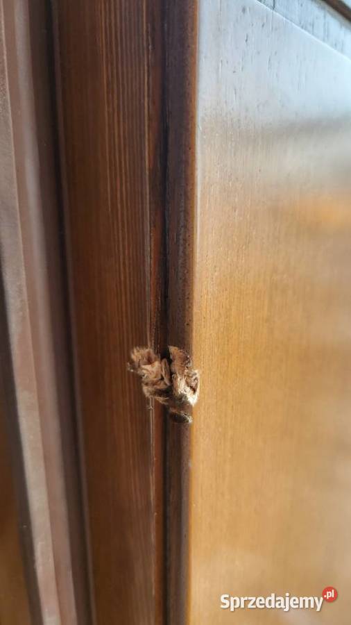 Drzwi zewnętrzne numer 11 Dom i Ogród kujawsko-pomorskie Toruń