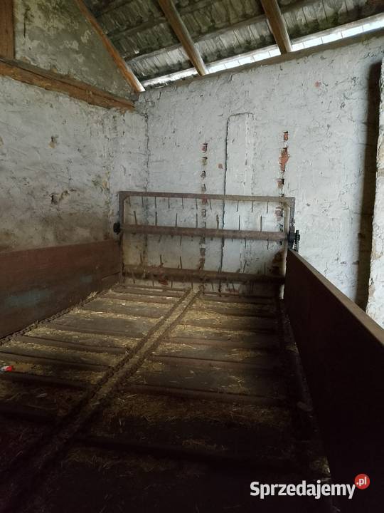 Rzutnik obornika Izbicko