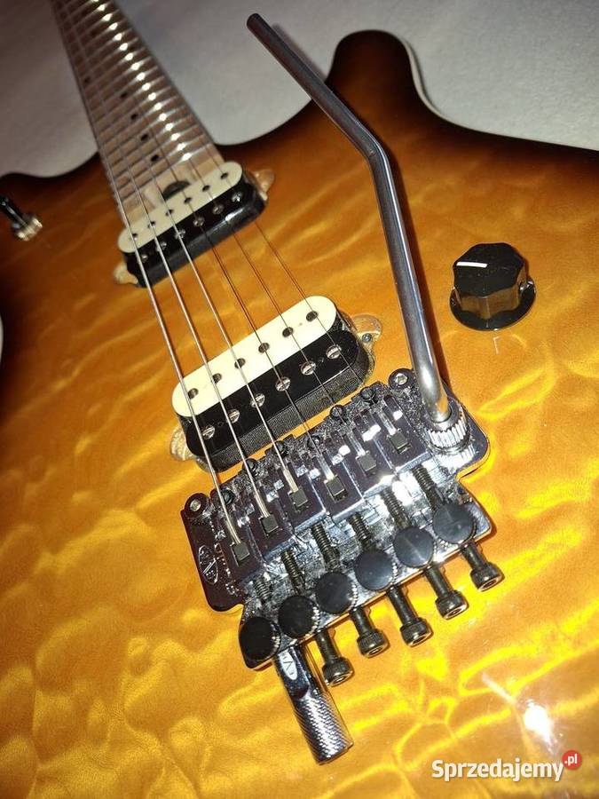 EVH WOLFGANG SPECIAL TBS wielkopolskie Września