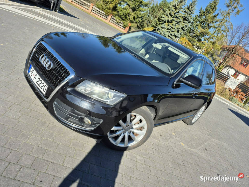 Audi Q5 xenon led navi chromy KAMERA ładny Drelów