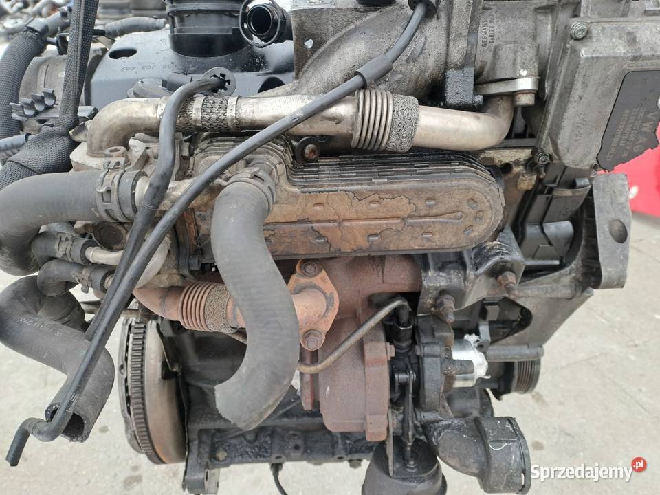 Audi Seat Skoda Volkswagen 19 TDi silnik Silniki i osprzęt Jastrzębie-Zdrój