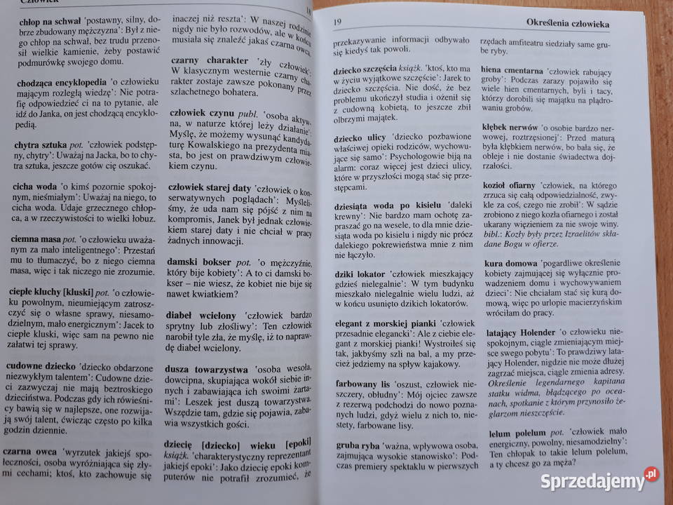 Mieć Cały Dom Na Głowie Słownik Frazeologiczny Słownik frazeologiczny Rybnik - Sprzedajemy.pl