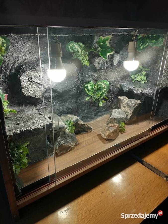 Terrarium 90x45x35 plus tło strukturalne