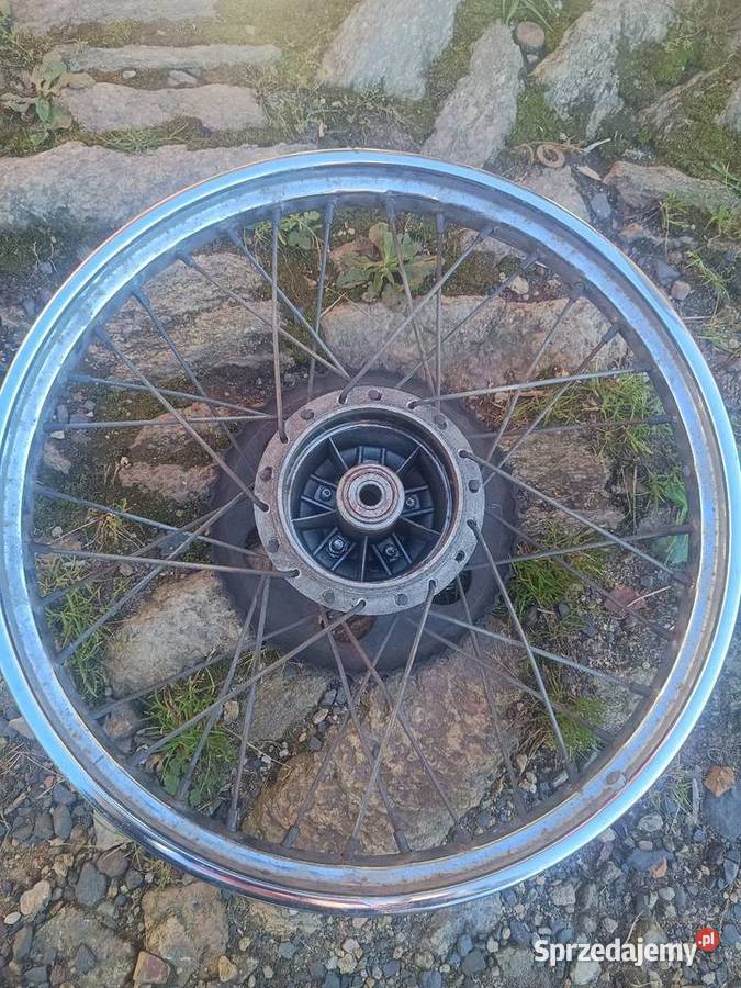 Romet ogar koło 17 Leśna