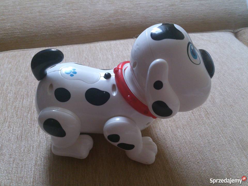 Interaktywny Piesek Kropek kujawsko-pomorskie