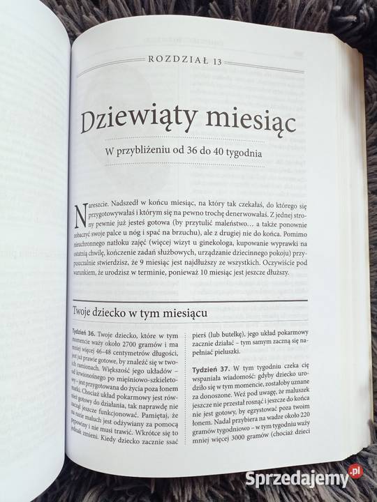 W oczekiwaniu na dziecko najlepszy poradnik