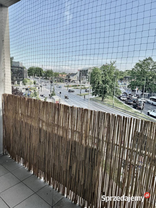 Bezpośrednio Jasne 2 pokoje Mieszkanie Centrum Piętro 2
