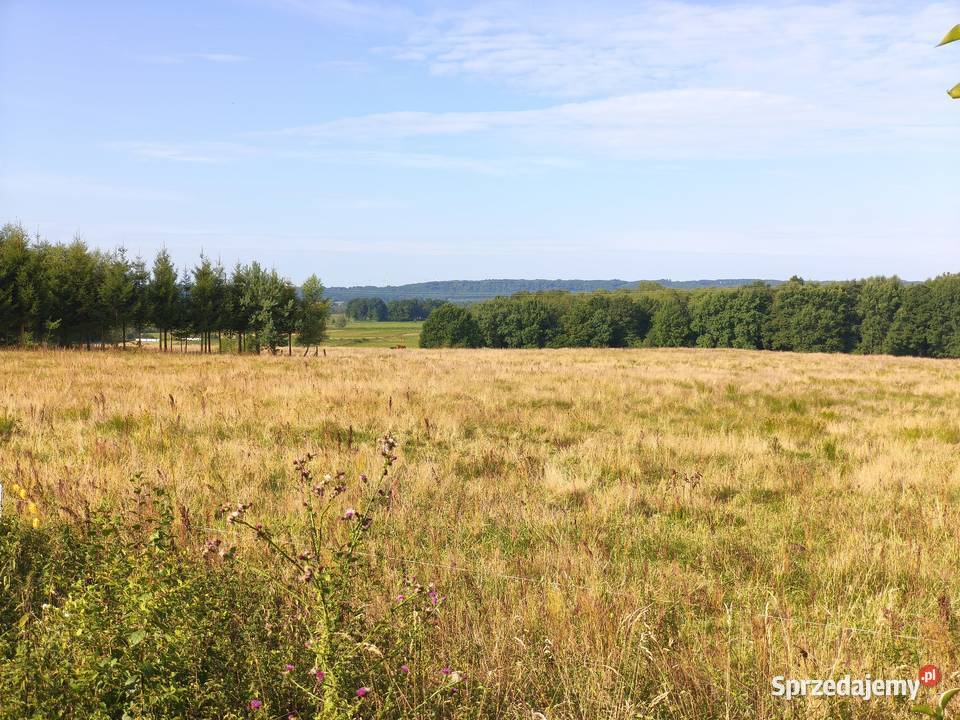 Z dala spojrzeń sąsiadów Chocielewko