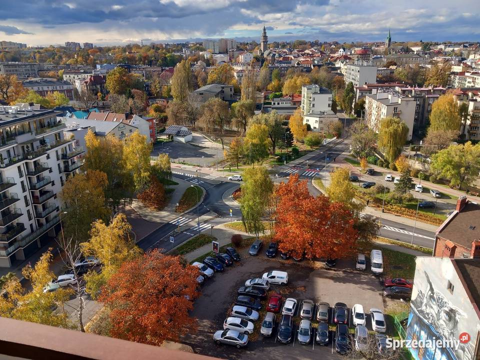 Wynajme gaeaż Młyńskiej w BielskuBiałej 17m2 Bielsko-Biała