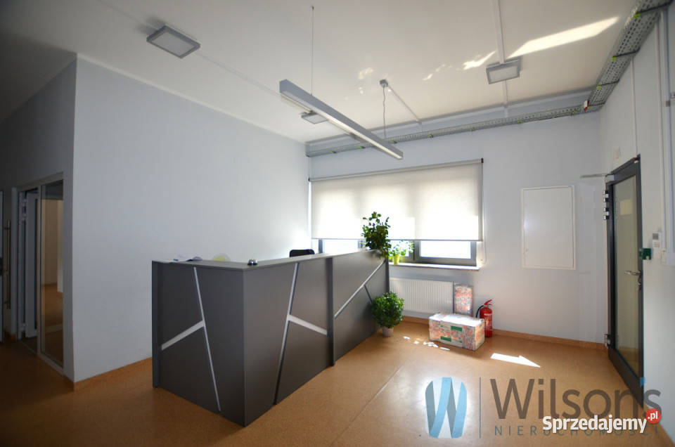 wynajmu lokalu 434m2 Łomianki Dąbrowa Leśna 434m2