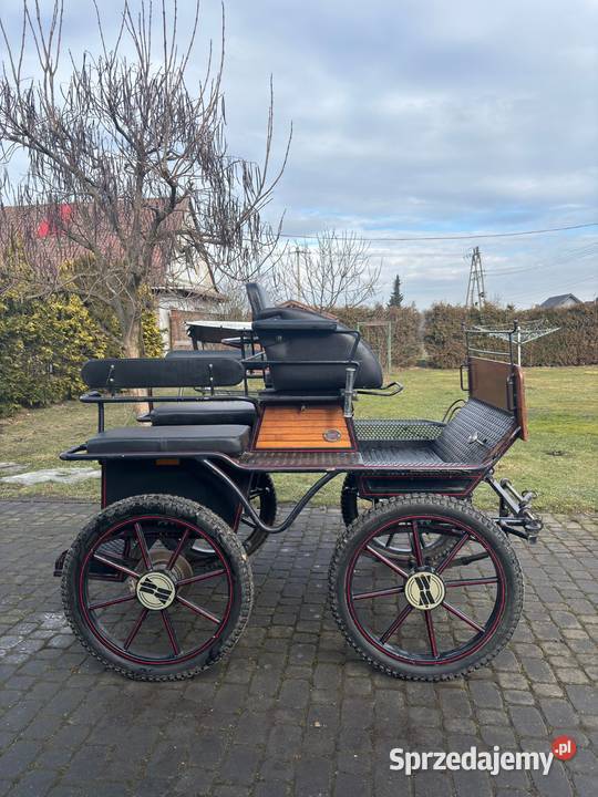 Maratonka Bryczka Wilcza