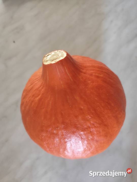 Dynia hokkaido Pułtusk