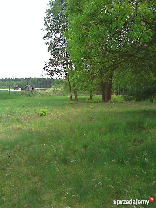 PROMOCYJNA Piekne działki rekreacja na Jurze Jaworznik