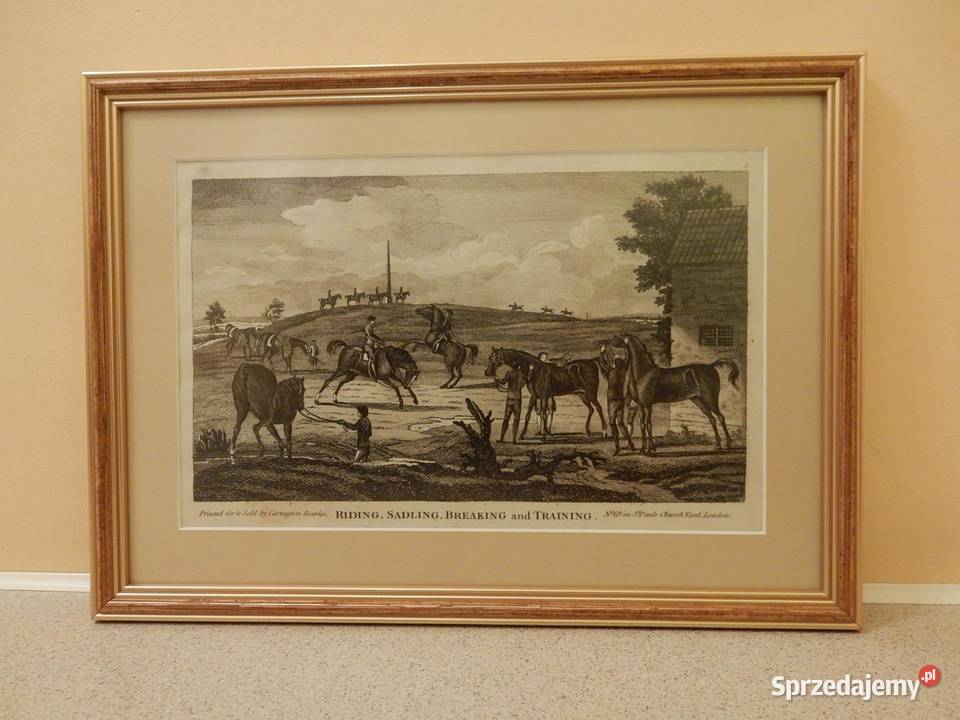 Dziesięć rycin przedstawiających konie do Piła