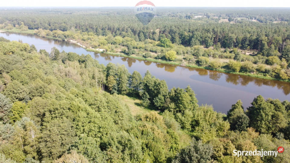 Działka budowlana 5000 m Różan Narew budowlana mazowieckie Paulinowo