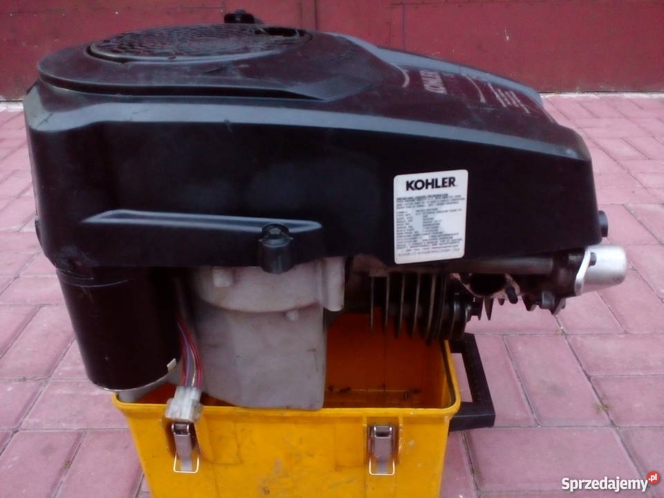 Silnik do kosiarki Borówki