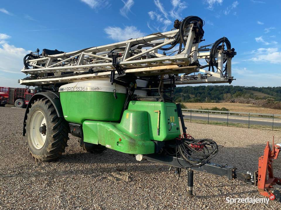 POMMIER Hybride 5536 FN397 Wrocław