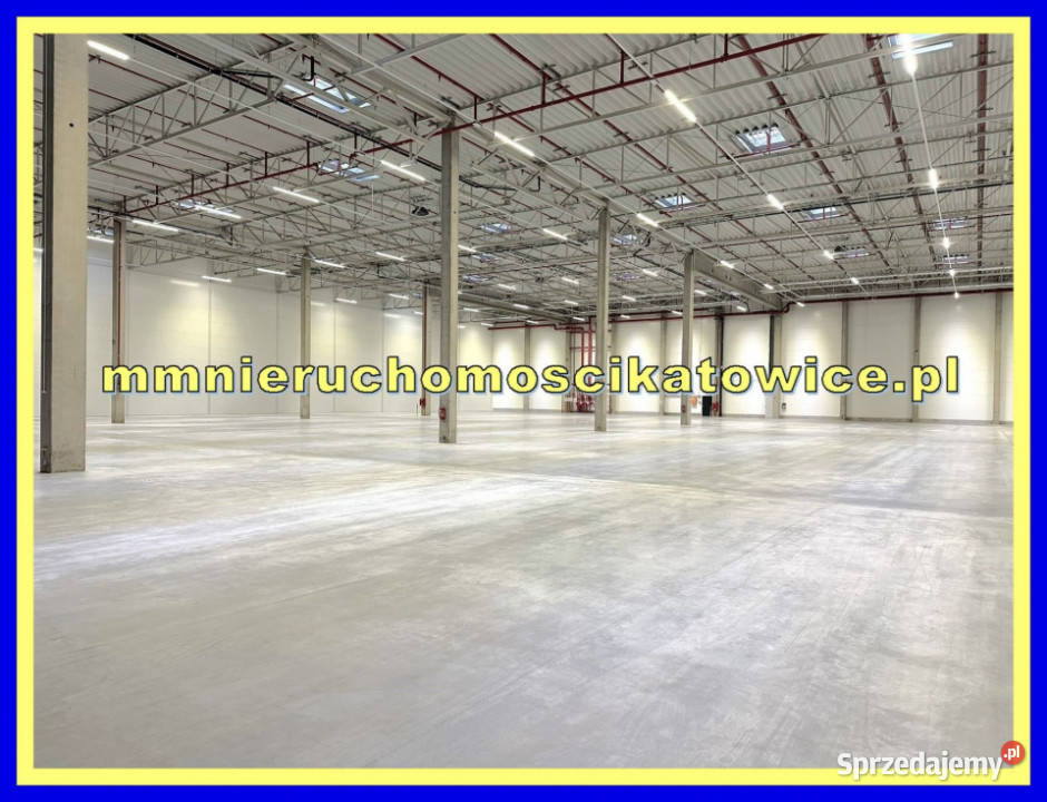Halamagazyn do wynajęcia Katowice dojazd do śląskie