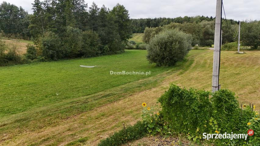 Grunt Gruszów 6200m2 budowlana
