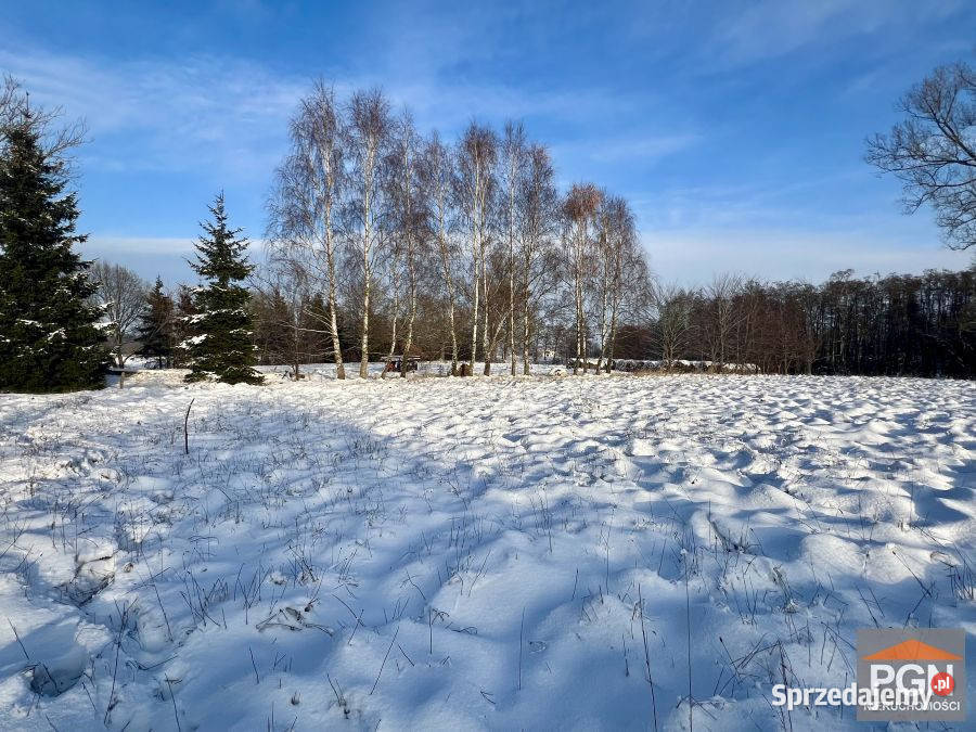 Działka 2134m2 Ładzin sprzedam