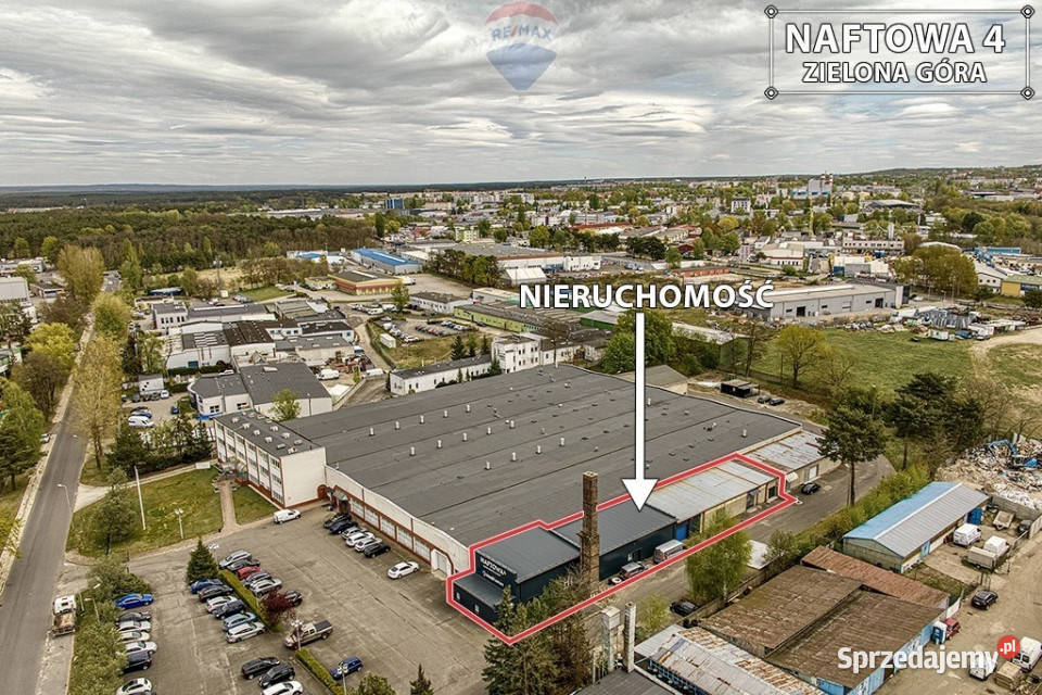 Lokal handlowousługowomagazynowy 4038zł/m2 Sprzedaż Zielona Góra
