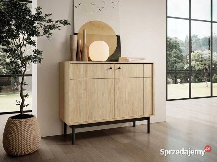 Komoda dwudrzwiowa 104 dwa kolory szybka wysyłka Komody