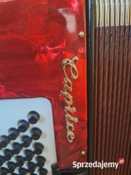 Akordeon Weltmeister Caprice 120 Kraków