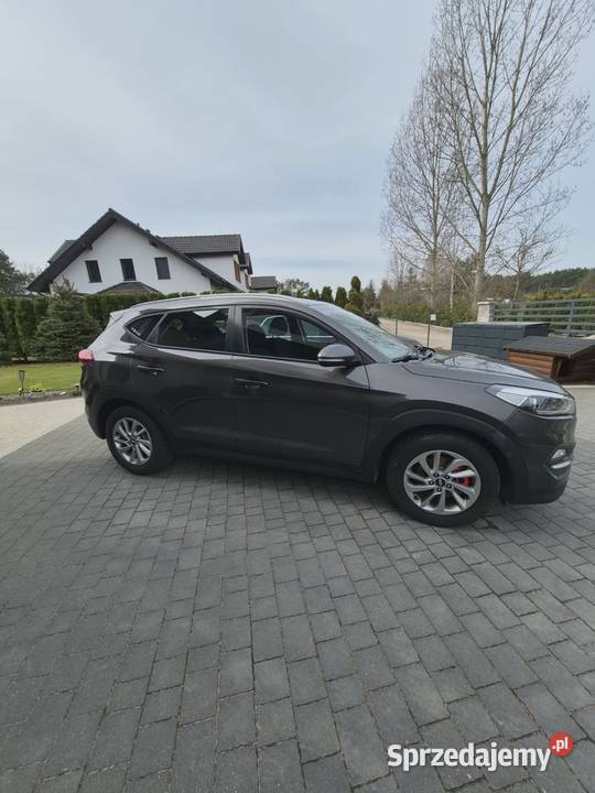 Hyundai Tucson Tucson Toruń