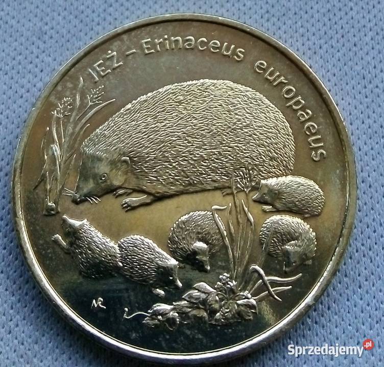 POLSKA2 1996 r GNJEŻ ŁADNA