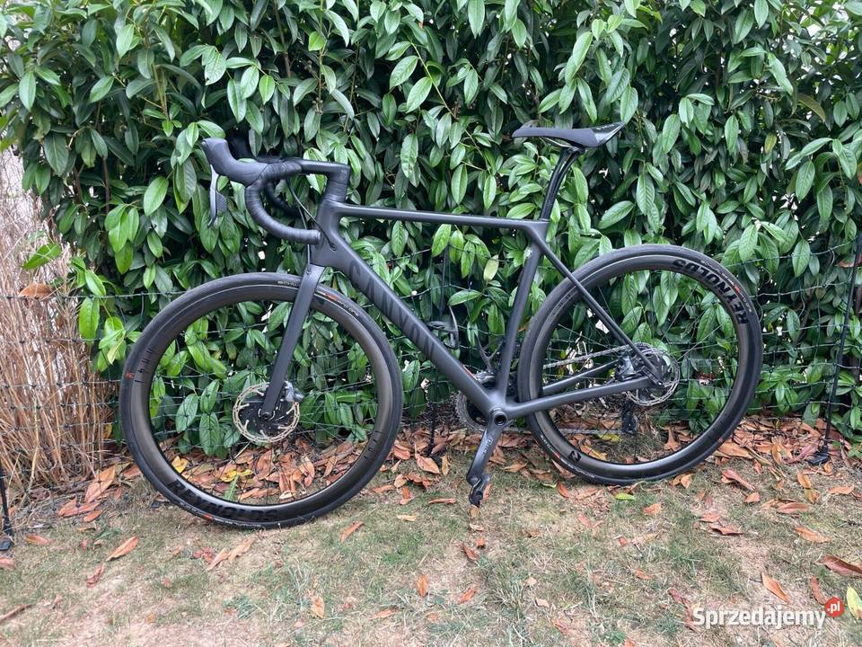 Rower szosowy Canyon Endurace CF SLX Disc 80