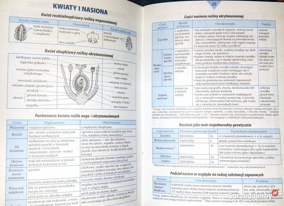 Bioligia Małe tablice W Mizerski B Bednarczuk I Chełm