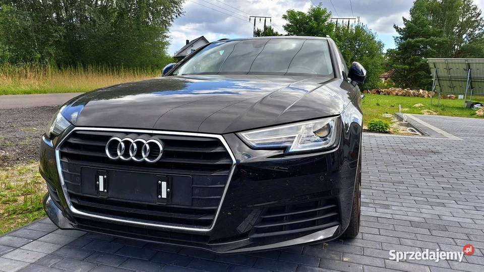 Audi A4 B9 20 TDI Słubice sprzedam
