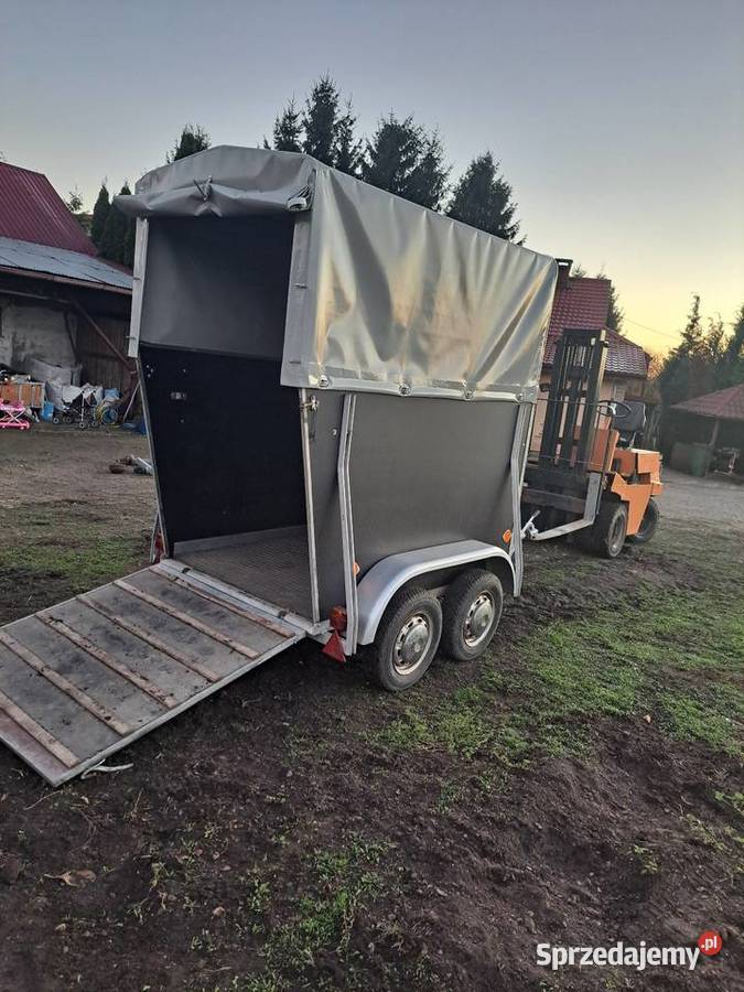 Przyczepka przyczepa do przewozu zwierząt koni Sadowie