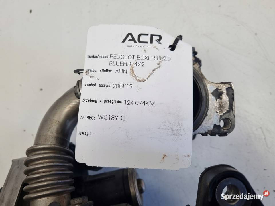 ZAWÓR EGR CHŁODNICA SPALIN Peugeot Boxer III 20 Chełm