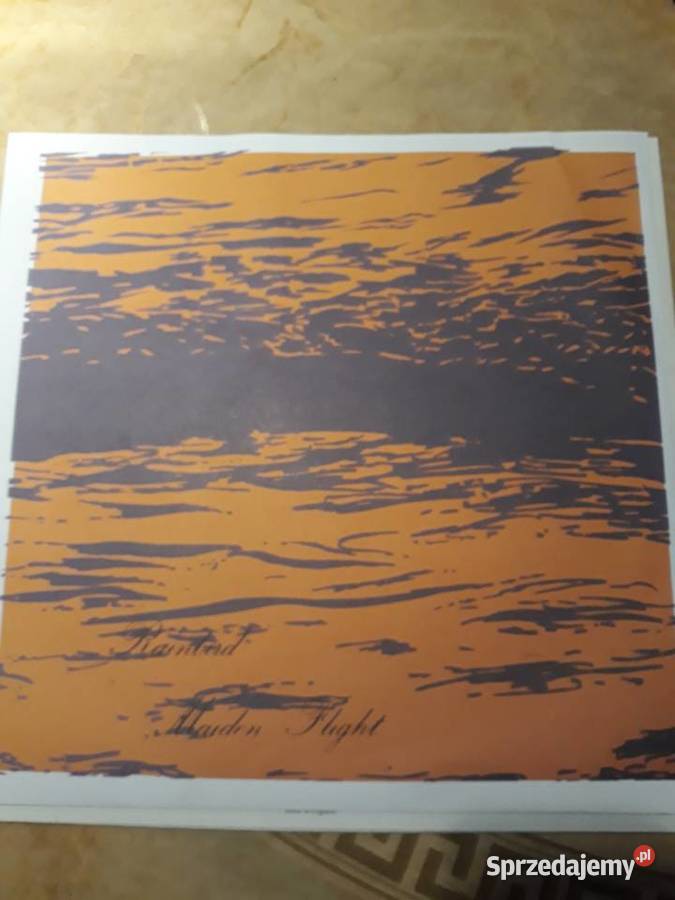 Archiwum prog rocka RAINBIRD Maiden Flight 1971 płyta winylowa Rzeszów sprzedam