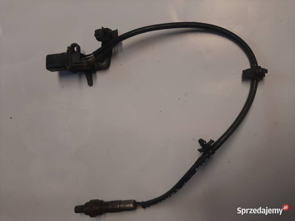 Sonda lambda Fiat Linea Doblo Fiorino Grande Sondy lambda Ksawerów